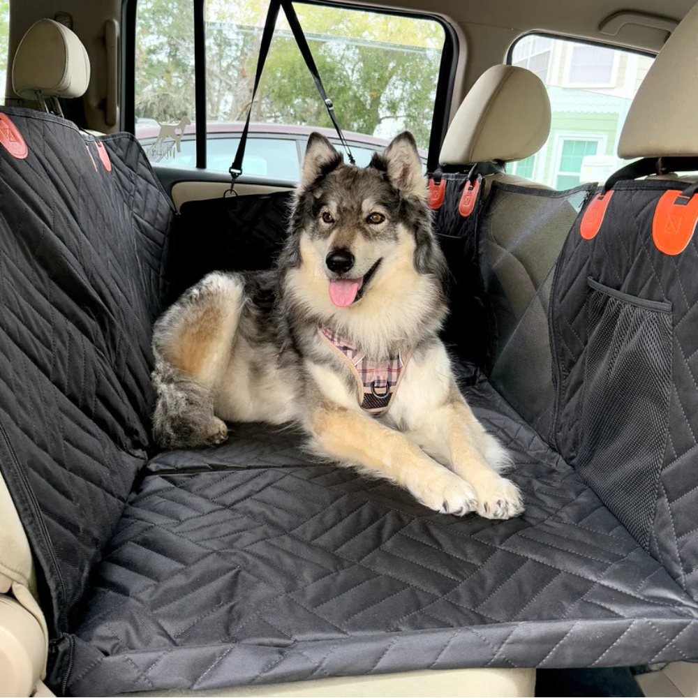 Housse de Protection Voiture pour Chien - Avenia™